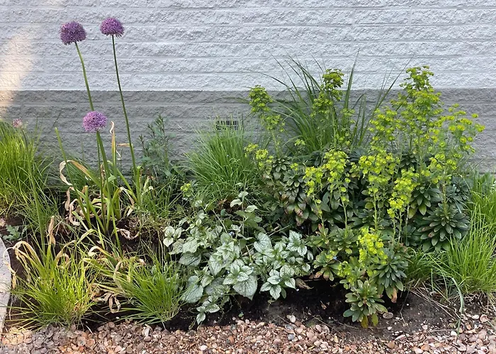 Doggersbank 38 Noordzeepark - - North Sea Gem, Wood-burning Stove, Big Kitchen, Garden With Privacy Ouddorp